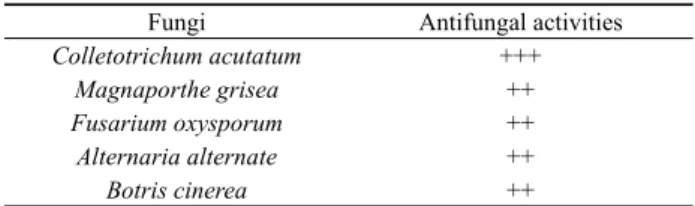 Fig. 3. Antifungal activity of the ethyl acetate extract of culture 