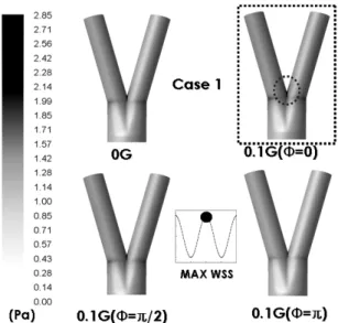 Fig. 11 Wall shear stress (WSS) of Case 1 with acceleration  variation in a maximum systole