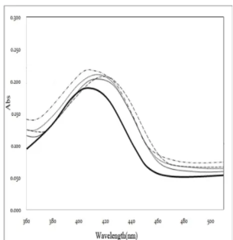Fig. 5. SDS-PAGE analysis of wt and mutants N-terminal lumazine  protein (N-LumP 118) after purification