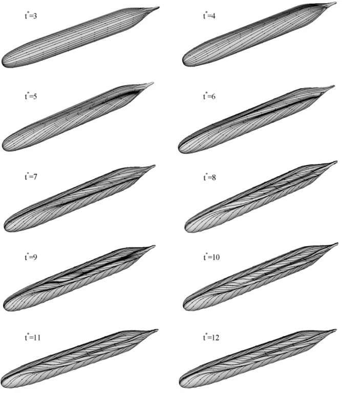 Fig. 23 Instantaneous streamlines on the surface of Bare-hull configuration