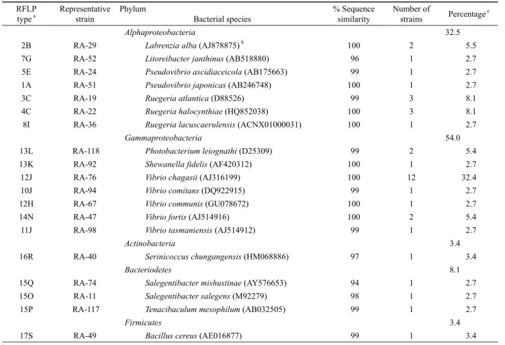Table 1. RFLP fingerprinting types and relative abundance of major groups in cultivable bacterial community of the marine sponge, A