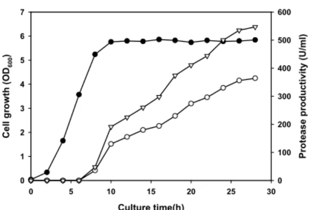 Fig. 3. Growth and protease production of B. licheniformis YB-2105.
