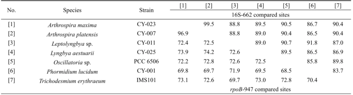 Table 2. Similarity scores of 16S rRNA (above diagonal) and rpoB gene (below diagonal) sequences between each pair of seven Oscillatoriales species