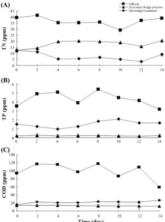 Fig. 1. Remove concentration of total nitrogen (A), total phosphorus (B), and COD- Mn  (C)