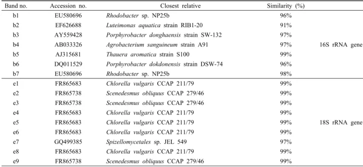 Table 1. Identity of the bands obtained from 16S rRNA gene and 18S rRNA gene DGGE profile of mini raceway open pond