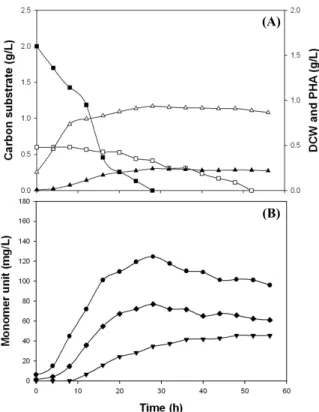 Fig. 1. Time course of cell growth and PHA accumulation (A) and  monomeric composition of the PHA (B) during the batch  fermentation of P