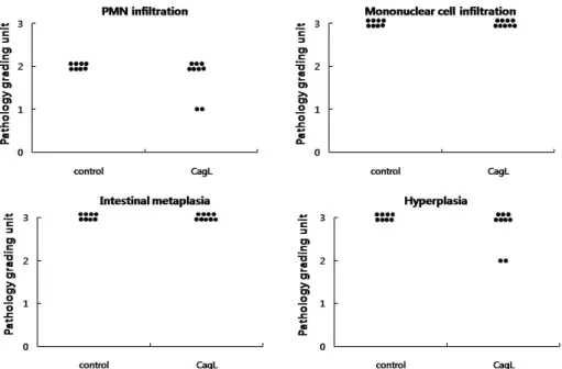 Fig. 5. Grading of histopathological changes in stomach of H. pylori-infected Mongolian gerbils after rCagL immunization.