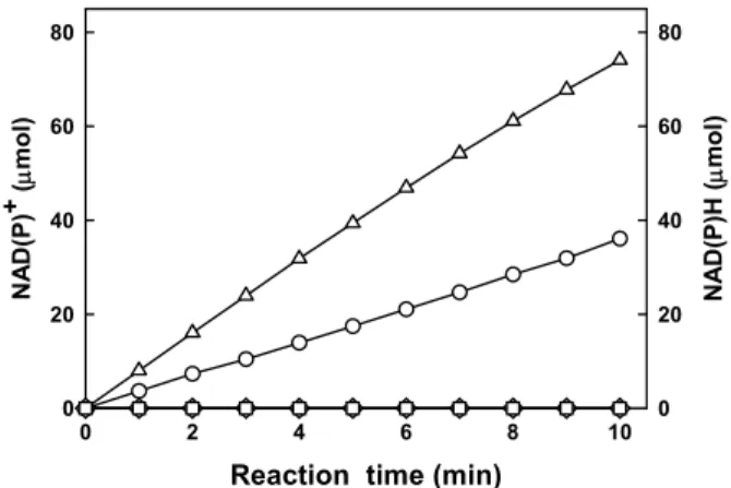 Fig. 3. Time-course evaluation of StMDH oxidative/reductive activities and coenzyme dependency