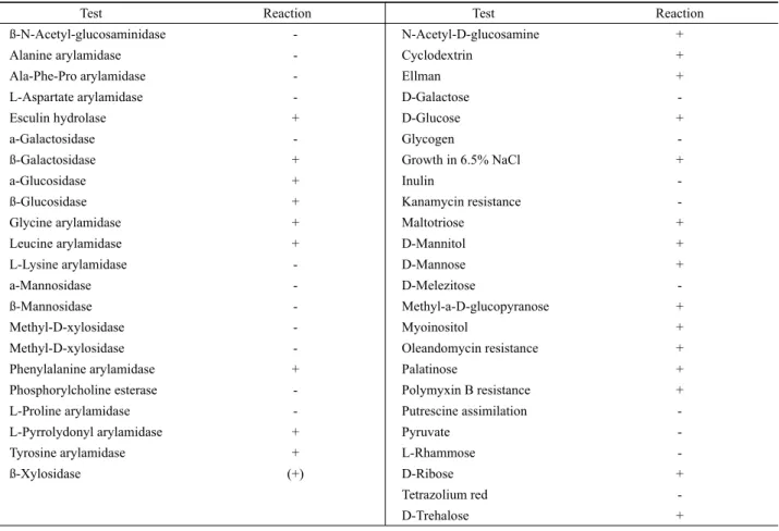Table 2. Biochemical characterization for the identification of the strain SCK B11