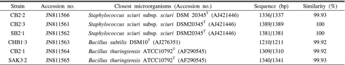 Table  2.  16S  rRNA  gene  sequencing  of  protein  degrading  bacteria  isolated  from  digestive  organs  of  Harmonia  axyridis Strain Accession  no