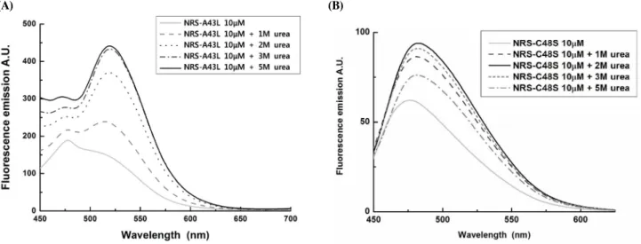 Table  3.  The  urea  concentration  at  which  maximal  fluorescence  intensity  of  N-terminal  domain  of  riboflavin  synthase  wild  type  and  mutant  variants