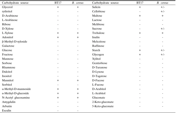 Table 1.  Biochemical characteristics (carbohydrates) of Bacillus thuringiensis BT17 and Bacillus  cereus  (Apiweb data)
