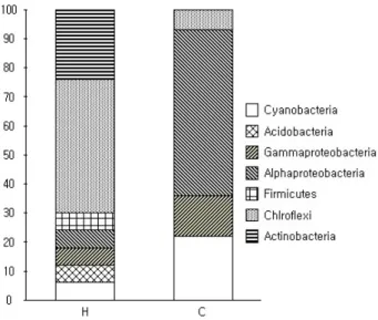Fig.  2.  Comparison  of  bacterial  community  in  Hyrtios  sp.  604  (H)  and  Callyspongia  sp