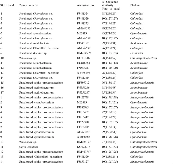 Table 1. Phylogenetic affiliation of re-amplified denaturing gradient gel electrophoresis (DGGE)  bands derived from the sponges