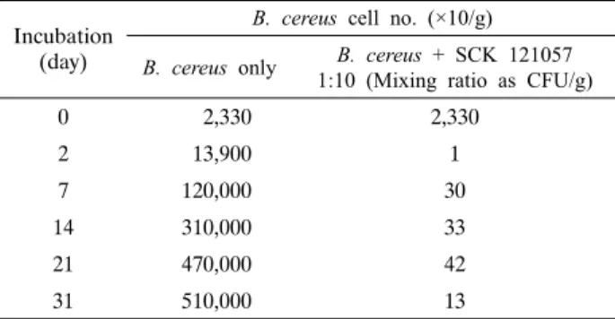 Fig.  6.  Scanning  electron  micrographs  of  B.  cereus  JBE  0006.  (A)  Intact  B