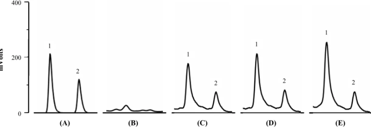 Fig.  3.  HPLC  chromatograms  of  a  mixture  of  authentic  standards,  lactic  acid,  and  acetic  acid  (A)  and  of  culture  samples  of  L