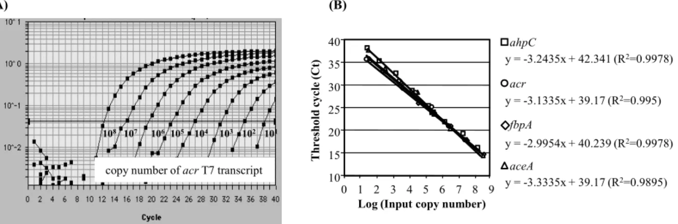Fig.  1.  Amplification  plots  of  real-time  detection  of  the  genes  by  Taqman  reaction  with  a  serially  diluted  T7  RNA  transcriprts