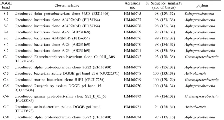 Fig.  1.  DGGE  banding  patterns  of  amplified  16S  rDNA  obtained  from  S.  abata  (S)  and  Cinachyrella  sp