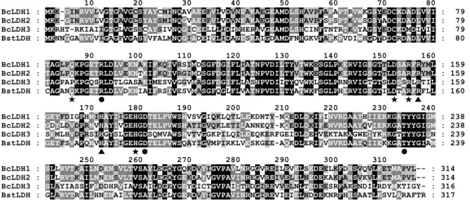 Table 1. Amino acid sequence identities among LDHs originated from Bacillus species