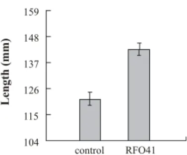 Fig.  2.  Shoot  lengths  of  X.  italicum  treated  with  B.  subtilis  RFO41. 