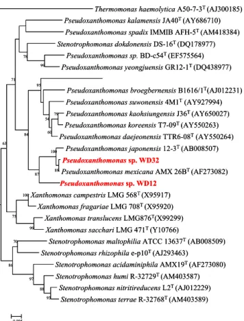 Fig.  1.  Phylogenetic  tree  of  the  16S  rRNA  sequences  of  the  Pseudoxanthomonas  sp