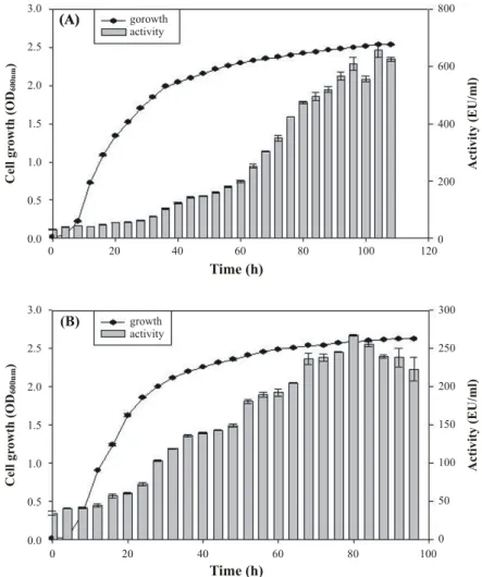 Fig.  3.  Growth  and  protease  activity  of  the  WD12  (A)  and  WD32  (B).  The  cells  were  grown  in  LB  supplemented  with  0.1%  skim  milk  at  37°C