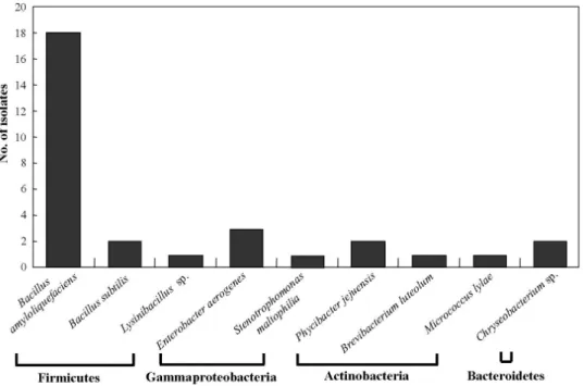 Fig.  1.  Phylogenetic  characteristics  of  feather-degrading  bacteria  collected  from  chicken  farm.