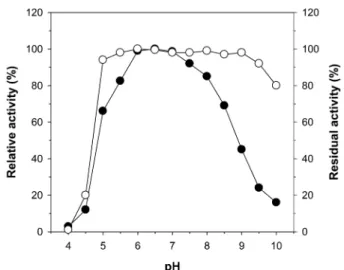 Fig. 6. Effect of pH on the xylanolytic activity ( ● ) and the stability ( ○ ) of rXylP: citrate buffer (pH 4.0~5.5); potassium phosphate buffer (pH 6.0~7.5); Tris-HCl buffer (pH 8.0~8.5); glycine-NaOH buffer (pH 9.0~10.0)