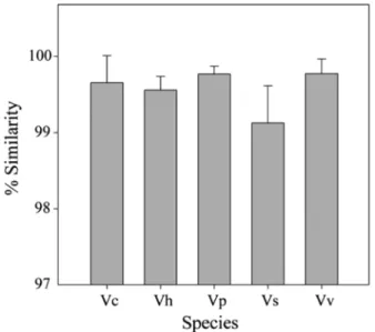 Table 2 는  5종의  Vibrio에서  발견된  유전체내 16S rRNA 염기 변이를  나타낸다.  Vibrio  속은  1번  염색체에  7개  이상의 16S rRNA  유전자를 갖고, 2번 염색체에  1개 이내의 16S rRNA 유전 자가  존재한다(V