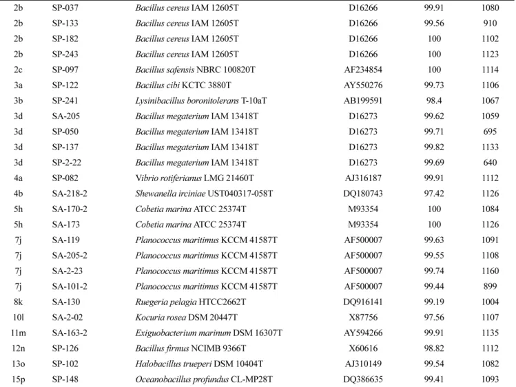Table 1.  RFLP fingerprinting types and sequence similarities of 16S rDNA from bacterial strains isolated from the marine sponges  Spirastrella abata  (SA) and  Spirastrella panis  (SP) (continued)