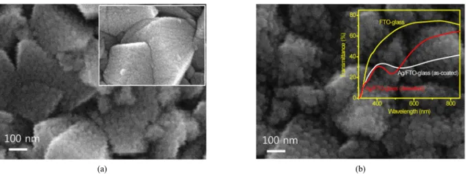 Fig. 1. (a) A scanning electron microscopic image of Ag-coated FTO-glass substrate. Inset is an image of the bare FTO-glass substrate