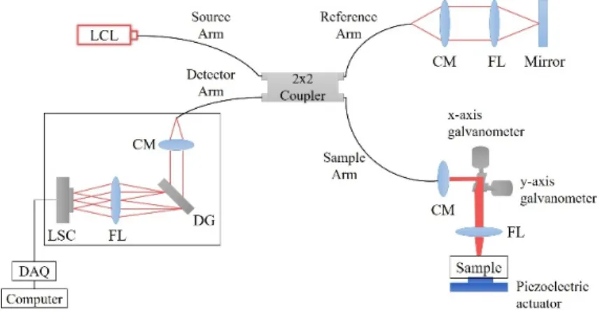 Fig. 1. Schematic diagram of an OCE system; LCL, low coherence light source; CM, collimator; FL, focusing lens; DG, diffraction grating; 