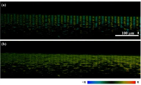 Fig. 4. (a) Phase difference image before Hilbert transform, (b) Phase difference image after Hilbert transform.