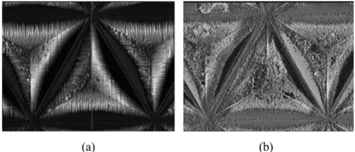 FIG. 5. Measurements results of triangle corner cube by confocal  microscope. (a) regular triangle (b) isosceles triangle.