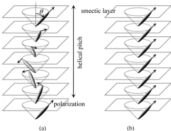 FIG. 4. Distributions of the LC director and the dipole moment  in the ferroelectric liquid crystal (a) in the absence of an applied  field (helical structure) and (b) in the presence of the applied  field (unwound configuration).