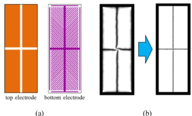 FIG. 4. Configuration of the VA mode with the micro-patterned  electrode. (a) pixel electrode structure of the bottom substrate,  and (b) top view image in the bright state