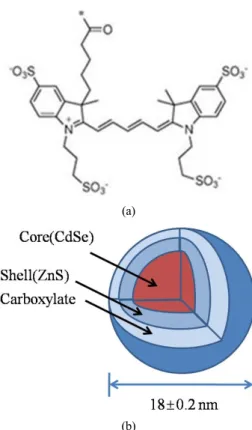 FIG. 2. Optical setup of FCS.