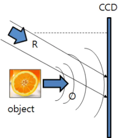 FIG. 1. Off-axis digital holography O ;object wave, R; reference  wave. 의 성능 향상을 기대할 수 있다[7-10].디지털  홀로그래피에서  상을  재생할  때  일반적으로  기준 홀로그램과 측정홀로그램의 차이를 이용한다
