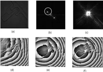 FIG. 3. Hologram and self-reference hologram. (a) hologram, (b)  Fourier transform of hologram, (c) fourier transform signal of  virtual image, (d),(e) inverse fourier transform with 2×2 pixels  and 7×7 pixels respectively, (f) filtered hologram(   ).