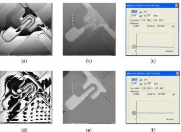 FIG. 4. Unwrapped gray level image with and without reference  hologram. (a), (c) reconstructed phase image without and with  reference hologram respectively, (b),(e) unwrapped gray level  image with (a) and (d) respectively,  (c),(f) height measurement  a