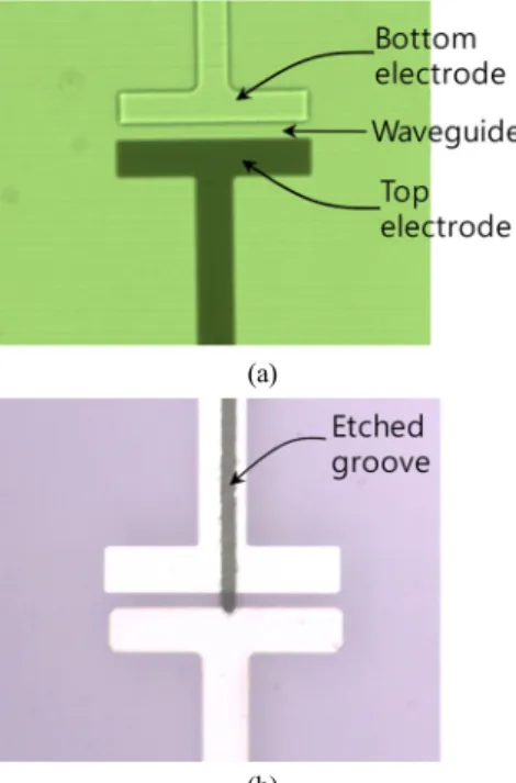 FIG. 4. CCD images of the output mode profile: (a) initial state  after 90° rotated analyzing polarizer, and (b) polarization converted  light when 4.2 V/μm is applied.