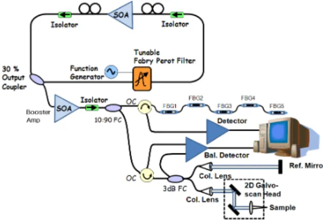 FIG. 1. Configuration of k-domain linearization using FBG array  in the Fourier domain OCT based on wavelength swept laser.