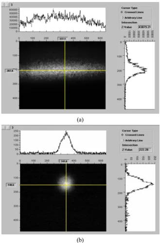 FIG. 9. Far field profiles of a laser diode (a) and a output of MOPA (b), respectively, measured by a IR-CCD.