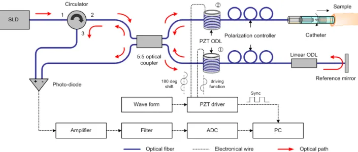 FIG. 1. A schematic diagram of TD-OCT system with duplex optical delay lines which are driven a sinusoidal wave function.배치하고 이를 대칭 구동하는 이중 광경로 지연방식을 사용하였다.탐침용 주사장치는 측정매질의 깊이방향에 대해 수직한 방향으로 주사하는 장치로써 단면 영상을 획득하기 위한 것이다