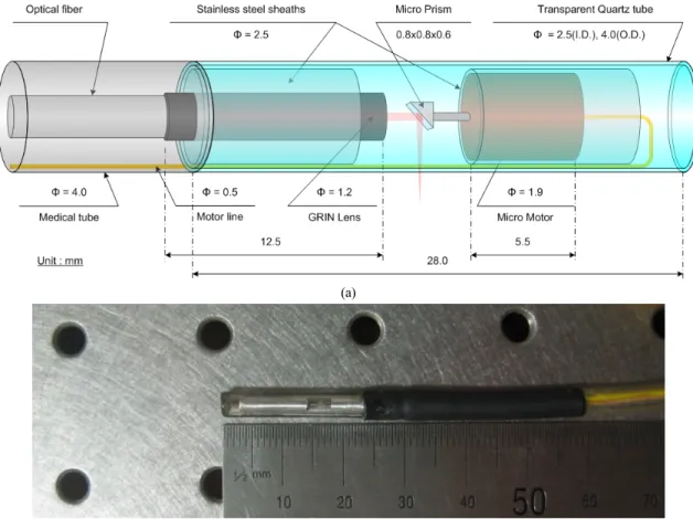 FIG. 2. An endoscope catheter: (a) the schematic diagram and (b) the photograph.