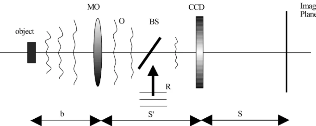FIG. 1. Digital holography microscope and image reconstruction. MO: magnification lens, R: reference wave, O: objective wave, BS: 