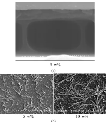 FIG. 2. Scanning electron microscopy of anisotropic polymer- polymer-networked TN cells (polymer concentration: 5 wt% and 10 wt%)