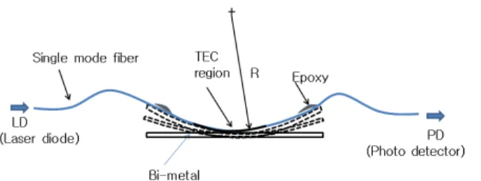 FIG. 1. The structure of proposed fiber-optic temperature sensor  using TEC fiber.