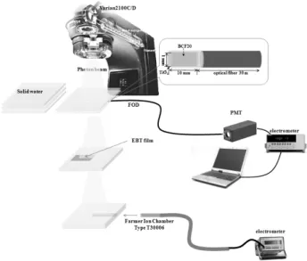 FIG. 1. Experimental setup for measuring skin dose and percentage  depth dose in build-up region.