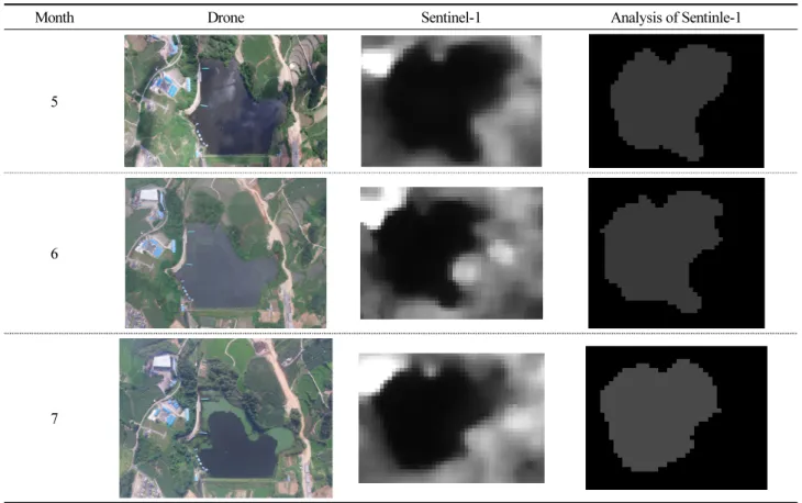 Table 2. Comparison of drone/Sentinel-1/analysis of Sentinle-1 images(Sinwol)
